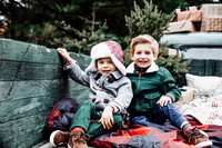 Christmasmini--3