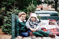 Christmasmini--7