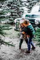 Christmasmini--11