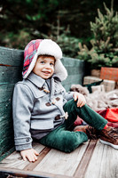 Christmasmini-