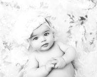 Hodge 6 months--7