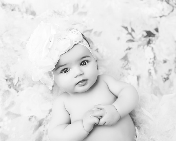 Hodge 6 months--7