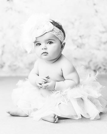 Hodge 6 months--11