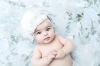 Hodge 6 months--6