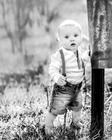 Owen--2