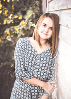 senior Examples-