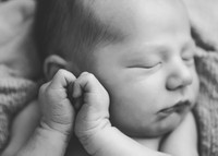 newborn--16