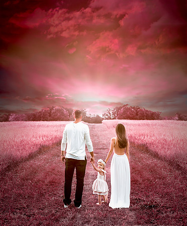 family16--20