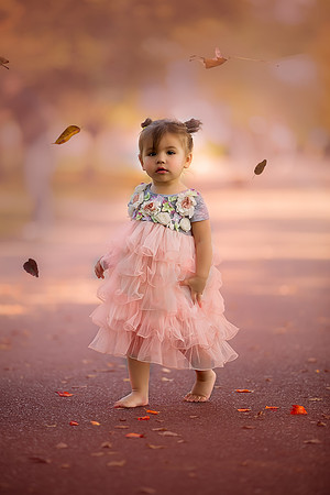 Fall  (1 of 1)