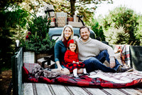 Christmas mini 18--2