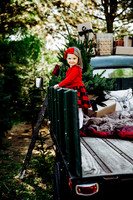 Christmas mini 18--4