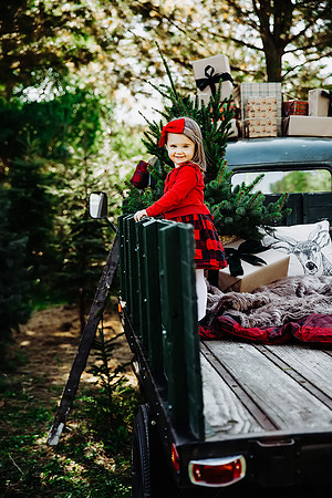 Christmas mini 18--4