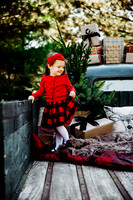 Christmas mini 18--5