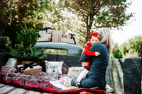 Christmas mini 18--6