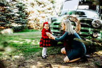 Christmas mini 18--7