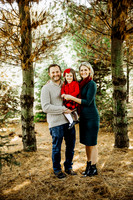 Christmas mini 18--10