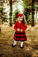Christmas mini 18--15