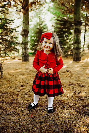 Christmas mini 18--15