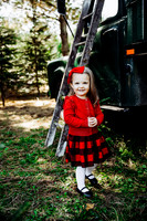 Christmas mini 18--16