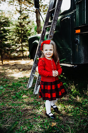Christmas mini 18--16
