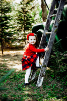 Christmas mini 18--18