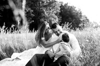 family16--15
