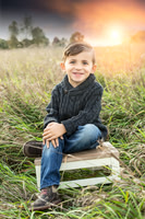 mini-