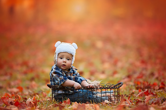 Fall  (1 of 1)